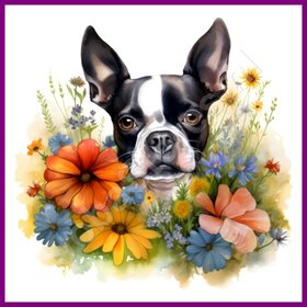 Diamond Painting Boston Terrier avec des fleurs
