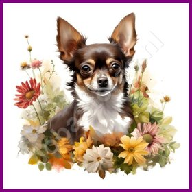 Diamond Painting Chihuahua avec des fleurs 02