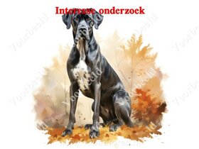 Diamond Painting interesse onderzoek