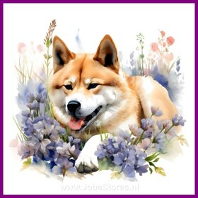 Diamond Painting Akita avec des fleurs 02
