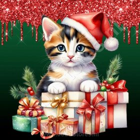 Diamond Painting Chaton de Noël 06