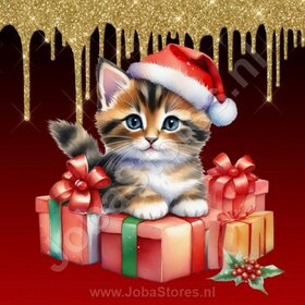 Diamond Painting Chaton de Noël 12