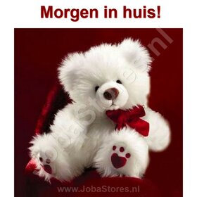 Diamond Painting Ours Blanc 30x30cm