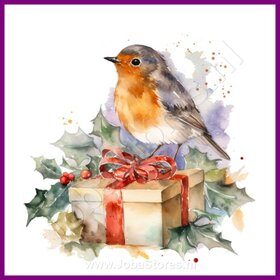 Diamond Painting Rouge-gorge Noël 01