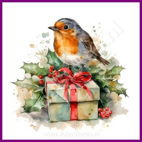 Diamond Painting Rouge-gorge Noël 02