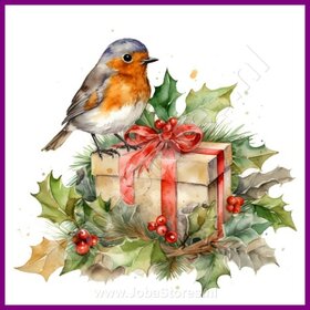 Diamond Painting Rouge-gorge Noël 03