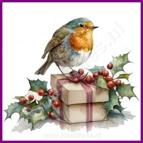 Diamond Painting Rouge-gorge Noël 04