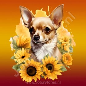 Diamond Painting Chihuahua  avec des tournesols