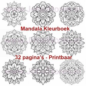 Livre de Coloriage Numérique pour Adultes Mandala 01 (32 Pages de Coloriage)