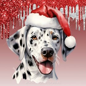 Diamond Painting Dalmatien avec bonnet de Noël