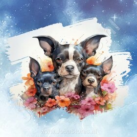 Diamond Painting Aquarelle Chien - Boston Terrier 02
