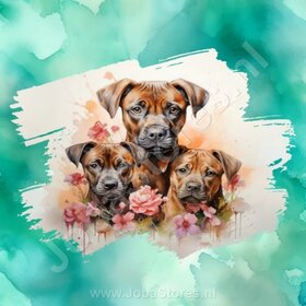 Diamond Painting Aquarelle Chien - Boxer 03