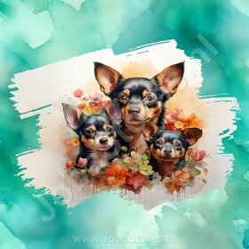 Diamond Painting Aquarelle Chien - Chihuahua 02