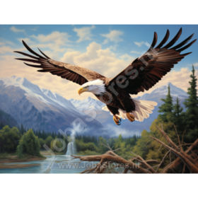 Diamond Painting Aigle 02