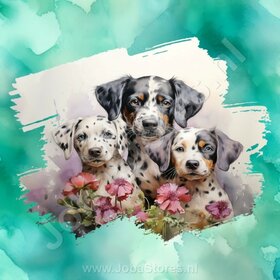 Diamond Painting Aquarelle Chien - Dalmatien 02