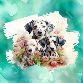 Diamond Painting Aquarelle Chien - Dalmatien 04