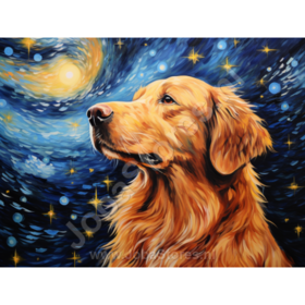 Diamond Painting Nuit étoilée Chien 01