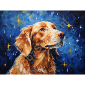 Diamond Painting Nuit étoilée Chien 03