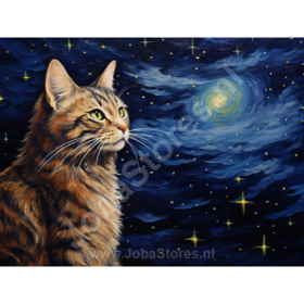 Diamond Painting Nuit étoilée Chat 01