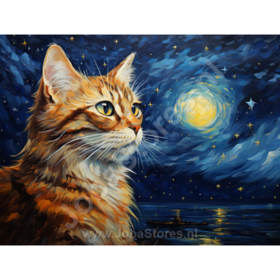 Diamond Painting Nuit étoilée Chat 02