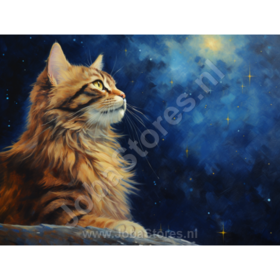Diamond Painting Nuit étoilée Chat 03