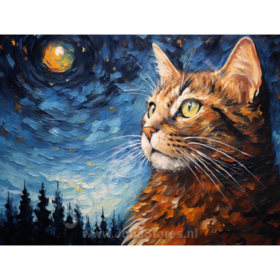 Diamond Painting Nuit étoilée Chat 04
