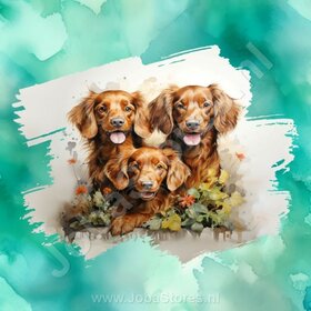 Diamond Painting Aquarelle Chien - Setter Irlandais 01