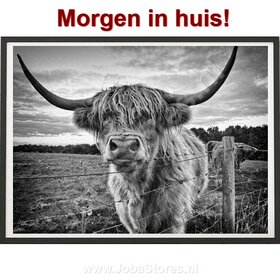 Diamond Painting Highlander écossais 40x50cm