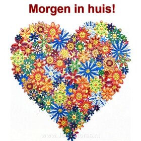 Spécial Diamond Painting Coeur 25x25cm