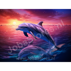Diamond Painting Dauphins 03