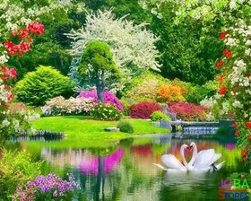 Diamond Painting Tuin met Zwanen 40x50cm - rond