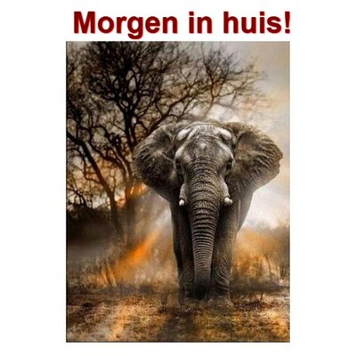 Diamond Painting Éléphant au crépuscule 30x40cm